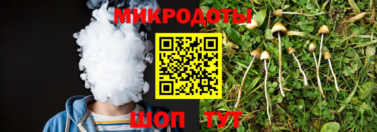 Галлюциногенные грибы GOLDEN TEACHER  Галлюциногенные грибы прущие грибы  Котовск  Вход с VPN 
